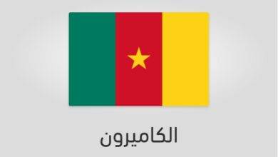 علم الكاميرون - عدد سكان الكاميرون