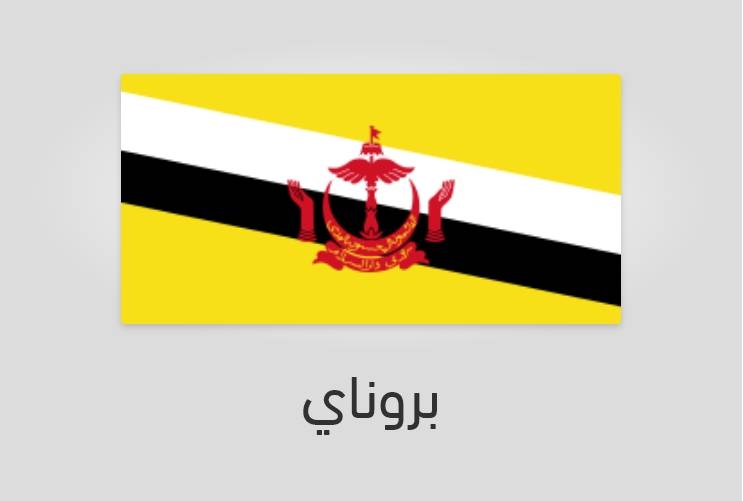 علم بروناي - عدد سكان بروناي