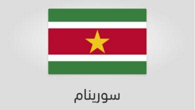 علم سورينام - عدد سكان سورينام