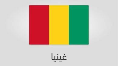 علم غينيا - عدد سكان غينيا